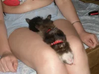 OfEbt4ORhf.webp OfEbt4ORhf.webp