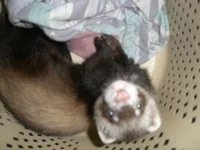 yM6n0gXR3N.webp yM6n0gXR3N.webp