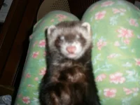 D3fFmLoUBu.webp D3fFmLoUBu.webp