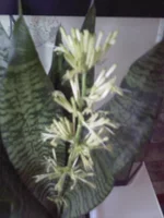 Photo-0011.webp
