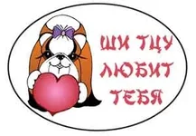 shi_tzu1.webp