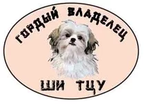 shi_tzu2.webp