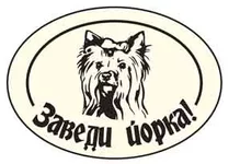york2.webp