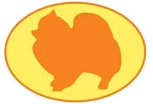 pom_shpitz4.webp