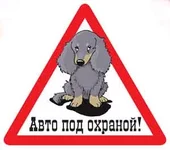taxa3.webp