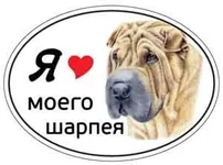 shar_pei2.webp