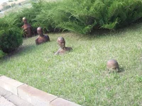 DSCF7567.webp