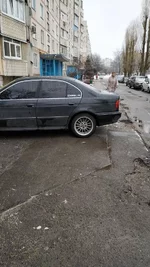 олень2.jpg