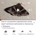 36300150.jpg