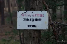  особого режима.webp
