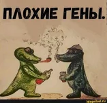  гены 0c.webp