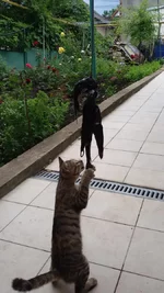 20150630_133218.webp