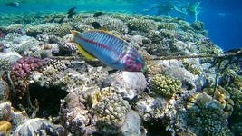FHD0139_1.webp