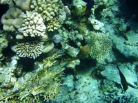 P9037343_1.webp