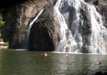 59 120319 Индия 164.webp