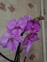 IMG_20191119_202550.webp