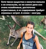 IMG_7178.webp