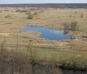 IMG_2633.jpg