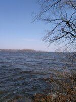 IMG_20210411_115313.jpg