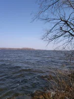 IMG_20210411_115313.webp