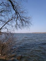 IMG_20210411_115317.jpg