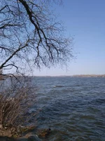 IMG_20210411_115317.webp