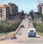 p_pole (1).webp