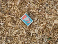 DSCN0343.webp