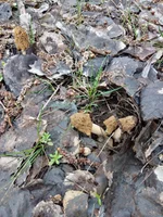 IMG_20210416_101806.webp