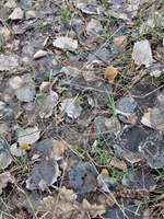 IMG_20210416_112344.webp