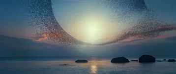 Screenshot_8.webp