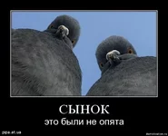 x_5e76b0fe.webp