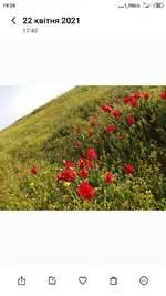 Screenshot_2021-04-22-19-29-31-528_com.miui.gallery.webp