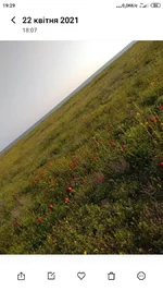 Screenshot_2021-04-22-19-29-44-821_com.miui.gallery.jpg