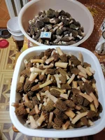IMG_20210422_203800.jpg