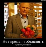 .webp
