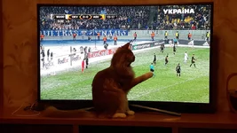 20180222_215105.webp