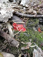 IMG_20210426_112718.webp