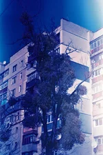 000059.webp