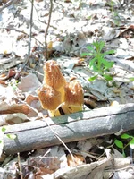 IMG_20210428_133759.webp