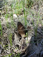 IMG_20210428_091017.webp