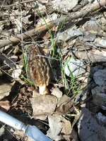 IMG_20210428_103757.webp