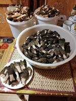 IMG_20210428_203939.jpg