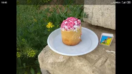 Screenshot_2021-05-02-18-40-53-385_com.miui.gallery.webp
