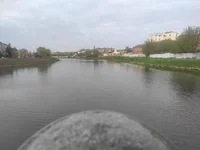 IMG_20210503_090406.webp