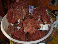 DSCN7179.webp