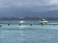A8633D51-ABFE-4E25-9029-FEB986498F71.webp
