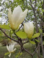 20210509_154925.webp