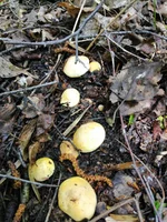 IMG_20210513_120124_1.jpg