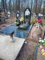 _viber_2021-05-19_16-45-45_8.webp